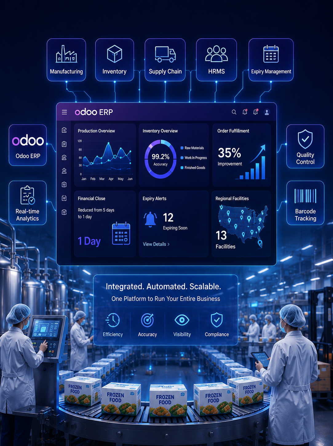 Frozen Food Manufacturing Odoo ERP Case Study